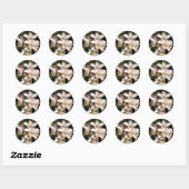 Cymbidium Orchids stickers (Vel)