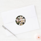 Cymbidium Orchids stickers (Envelop)