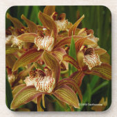 Cymbidium tracyanum bier onderzetter (Voorkant)
