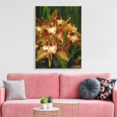 Cymbidium tracyanum canvas afdruk (Insitu (Woonkamer))