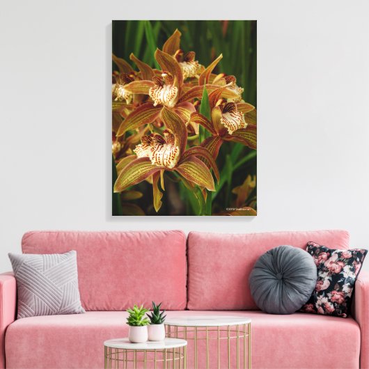 Cymbidium tracyanum canvas afdruk (Insitu (Woonkamer))