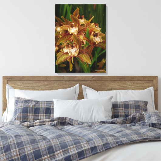 Cymbidium tracyanum canvas afdruk (Insitu (Slaapkamer))