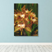 Cymbidium tracyanum canvas afdruk (Insitu (Houten vloer))