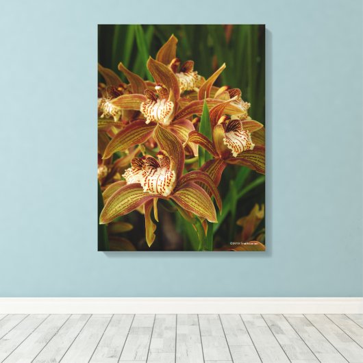 Cymbidium tracyanum canvas afdruk (Insitu (Houten vloer))