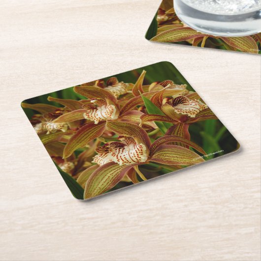 Cymbidium tracyanum kartonnen onderzetters (Schuin)