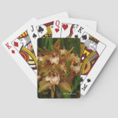 Cymbidium tracyanum pokerkaarten (Achterkant)