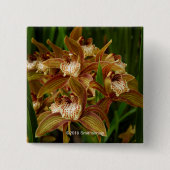Cymbidium tracyanum vierkante button 5,1 cm (Voorkant)