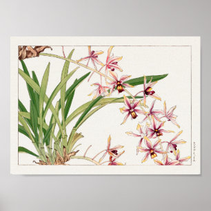 Cymbidium van Tanigami Konan Poster