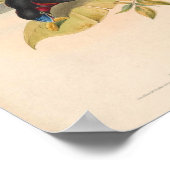 Cymbirhynchus Macrorhynchos  Bird oF Asia Poster (Hoek)