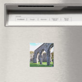 CYMER ABBEY WALES MAGNEET (Insitu (Vaatwasser))