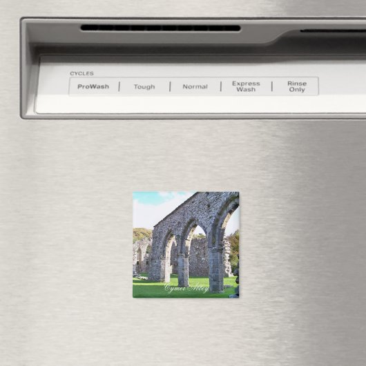 CYMER ABBEY WALES MAGNEET (Insitu (Vaatwasser))