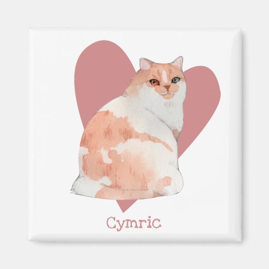 Cymric Cat Waterverf Kat Roze hart Magneet (Voorkant)