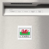 Cymru Magneet (Insitu (Vaatwasser))