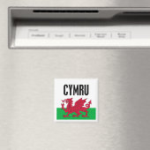 Cymru Magneet (Insitu (Vaatwasser))