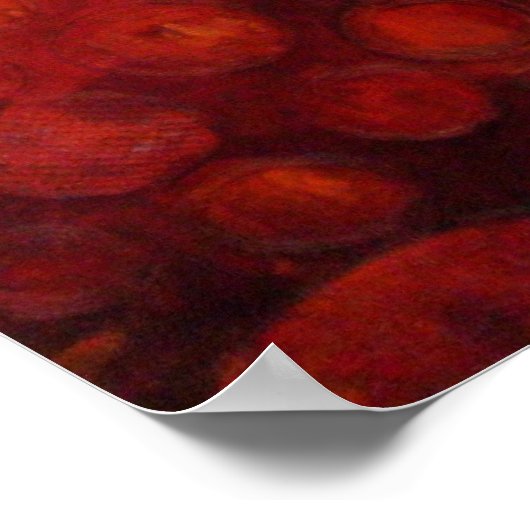 Cyndi's tuin - Poster (Hoek)