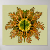 Cynthia melocactus Ernst Haeckel Fine Art Poster (Voorkant)