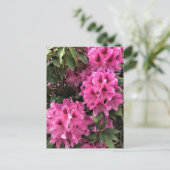 Cynthia Rhododendrons, Oregon Briefkaart (Staand voorkant)
