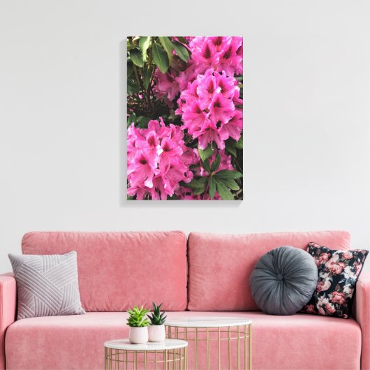 Cynthia Rhododendrons, Oregon Canvas Afdruk (Insitu (Woonkamer))