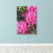 Cynthia Rhododendrons, Oregon Canvas Afdruk (Insitu (Houten vloer))