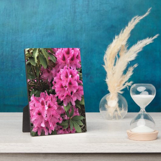 Cynthia Rhododendrons, Oregon Fotoplaat (Zijkant)