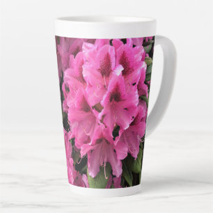 Cynthia Rhododendrons, Oregon Latte Mok