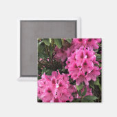 Cynthia Rhododendrons, Oregon Magneet (Voorkant / Achterkant)