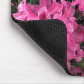 Cynthia Rhododendrons, Oregon Muismat (Hoek)