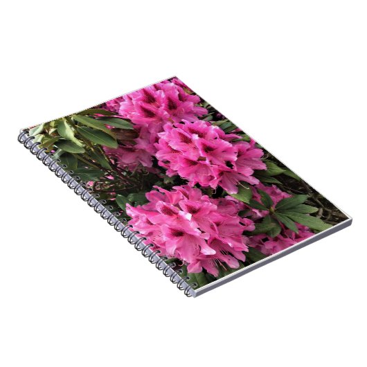 Cynthia Rhododendrons, Oregon Notitieboek (Rechterzijde)