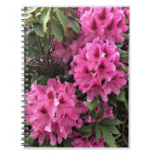 Cynthia Rhododendrons, Oregon Notitieboek (Voorkant)