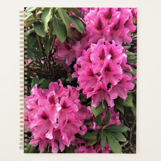 Cynthia Rhododendrons, Oregon Planner (Voorkant)