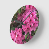 Cynthia Rhododendrons, Oregon Ronde Klok (Hoek)