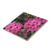 Cynthia Rhododendrons, Oregon Tegeltje (Zijkant)