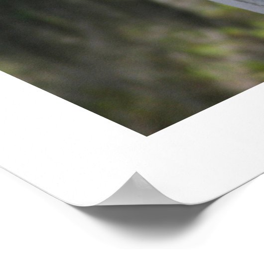 Cynthia's Angel 16x20 Poster (Hoek)