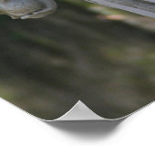 Cynthia's Angel 16x20 Poster (Hoek)