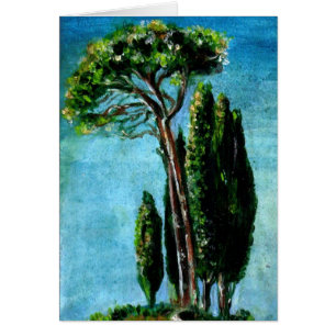 CYPERBOMEN EN MEDITERRANE PIJN IN TUSCANY