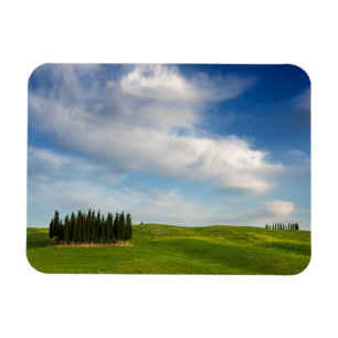 Cypersbomen in de rechthoekige magneet van Toscane