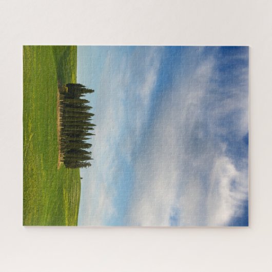 Cypersbomen in de verticale Toscane Legpuzzel (Horizontaal)