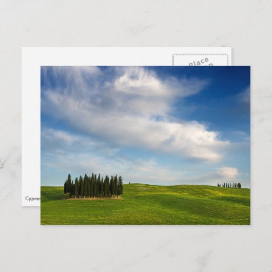 Cypersbomen in het briefkaart Toscane (Voorkant / Achterkant)