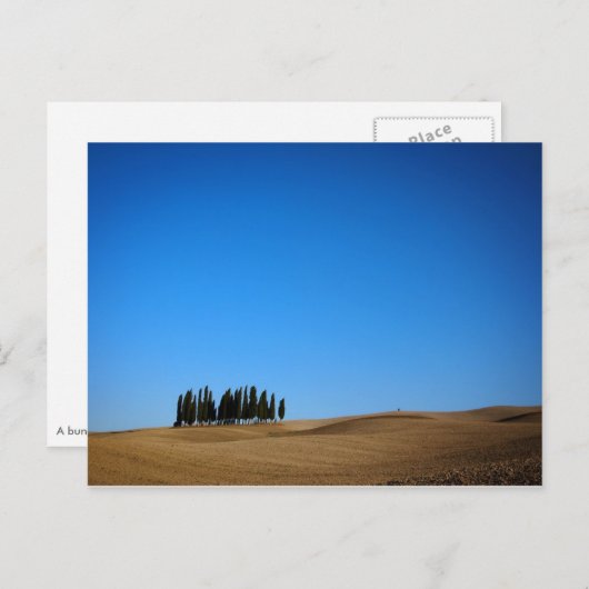 Cypersbomen in het briefkaart Toscane (Voorkant / Achterkant)