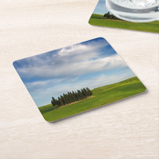 Cypersbomen in het onderzetter Toscane (Schuin)
