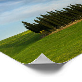 Cypersbomen in het poster Toscane (Hoek)