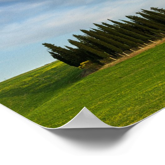 Cypersbomen in het poster Toscane (Hoek)