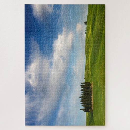 Cypersbomen in het Toscaanse landschap Legpuzzel (Verticaal)