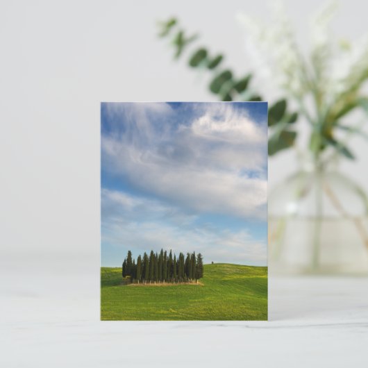 Cypersbomen in het verticale briefkaart van Toscan (Staand voorkant)
