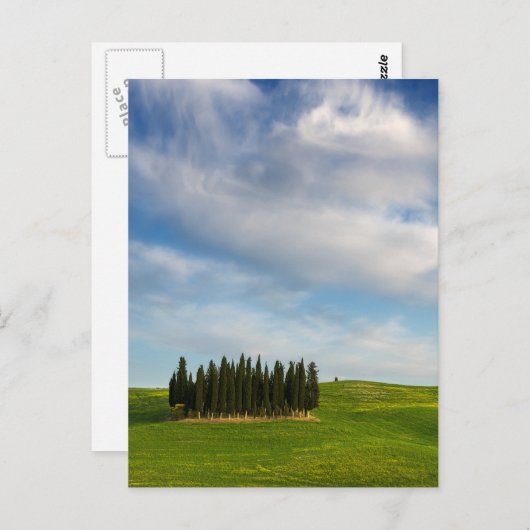 Cypersbomen in het verticale briefkaart van Toscan (Voorkant / Achterkant)