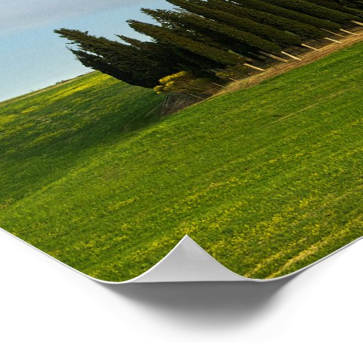 Cypersbomen in het verticale poster van Toscane (Hoek)