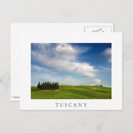 Cypersbomen in het witte briefkaart Toscane (Voorkant / Achterkant)