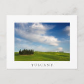 Cypersbomen in het witte briefkaart Toscane (Voorkant)