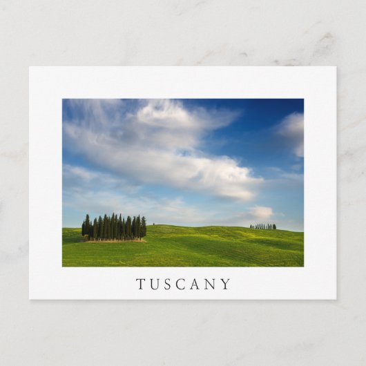 Cypersbomen in het witte briefkaart Toscane (Voorkant)