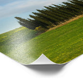 Cypersbomen in Toscaanse fotoafdrukken Foto Afdruk (Hoek)